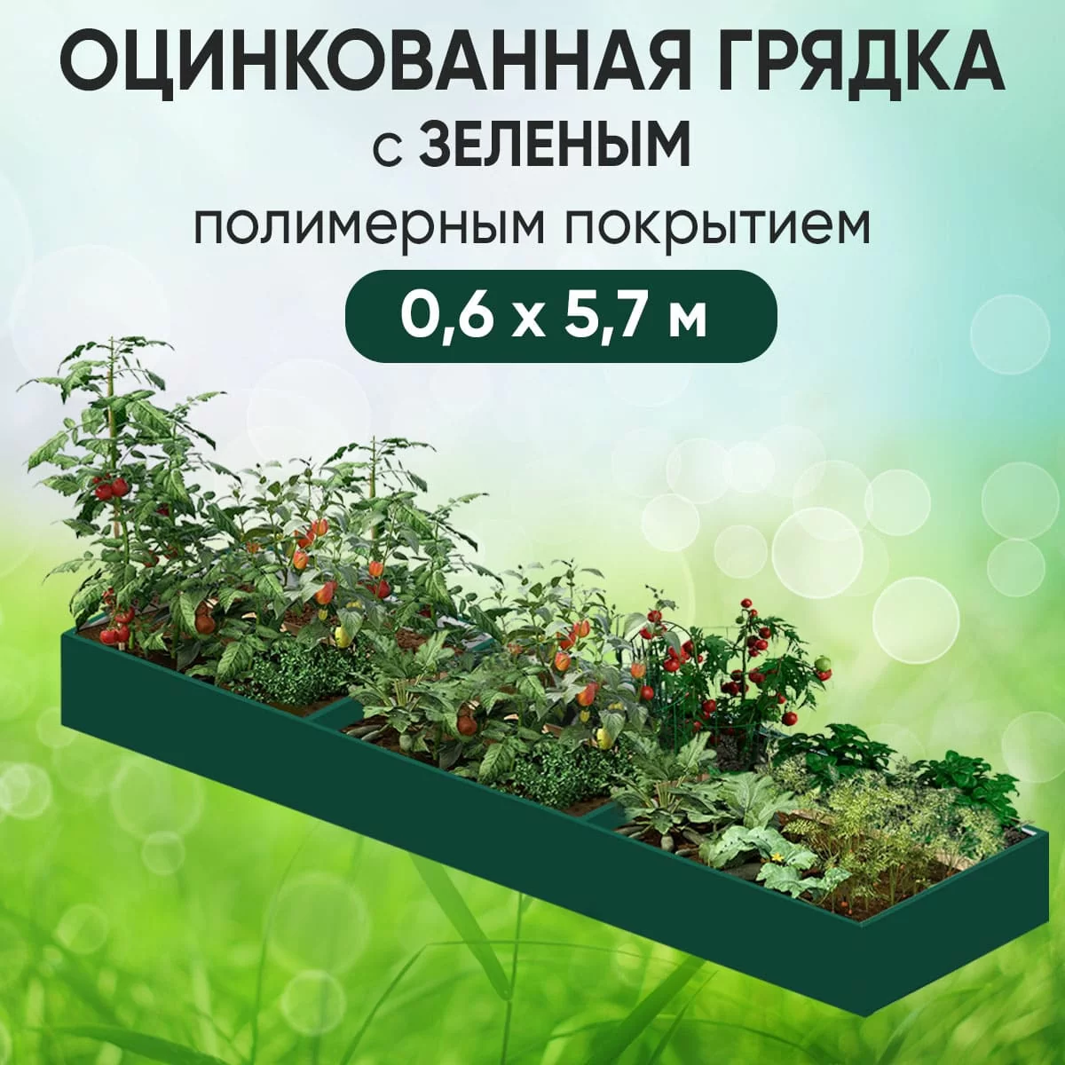 Грядка зеленая (0,6 х 5,7)