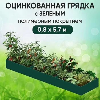 Грядка зеленая (0,8 х 5,7)